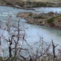 Torres del Paine